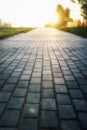 Gray paving stone path goes away the prospect in sunset Royalty Free Stock Photo