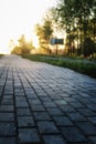 Gray paving stone path goes away the prospect in sunset Royalty Free Stock Photo