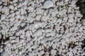 Gray pebbles as backfilling a path Royalty Free Stock Photo