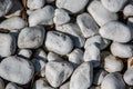 Gray pebbles as backfilling a path Royalty Free Stock Photo