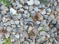 gray pebbles as backfilling Royalty Free Stock Photo