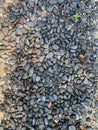 gray pebbles as backfilling Royalty Free Stock Photo