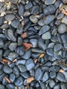 gray pebbles as backfilling Royalty Free Stock Photo