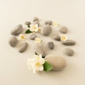 Gray pebbles and white flowers jasmine on bright background. Zen like concept. Stone spa concept Royalty Free Stock Photo