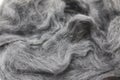 Gray piece of Australian sheep wool Merino breed close-up on a white background