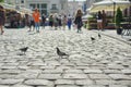 Gray pigeons on the cobblestone street in old city, background walking people Royalty Free Stock Photo