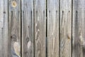 Gray pine plank wooden fence vertical stripe natural background. Wooden texture wall. Natural lighting. Close-up Royalty Free Stock Photo