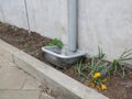 Gray plastic bucket under a rainpipe near a wall