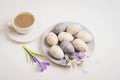 Gray plate with painted Easter eggs, coffee cup and crocus flowers on white background. Easter concept. Top view Royalty Free Stock Photo