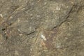 Gray porous surface of stone rock with deep relief close-up. natural texture