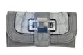 Gray purse Royalty Free Stock Photo