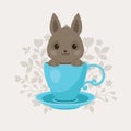 Gray Rabbit in a Blue Tea Cup