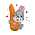 A gray rabbit hugs a sweet, healthy, huge carrot. Love rabbit food. Cartoon character. Vector illustration