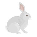 Gray rabbit isolated on a white background. Vector illustration of a domestic farm animal