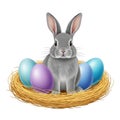A gray rabbit sitting in a nest with colorful easter eggs Royalty Free Stock Photo