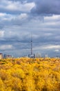 Gray rainy clouds over lush yellow forest and city Royalty Free Stock Photo