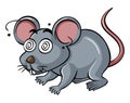 Gray rat with dizzy face