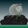 Gray rat at night sits on a large stone near a swamp and nibbles on bamboo