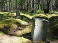 Gray rectangular tombstones on moss-covered graves on an old, forgotten evangelical cemetery near Leba, Poland