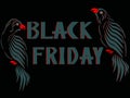 Gray-red parrots on both sides of the gray-red lettering Black Friday. Royalty Free Stock Photo