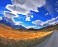 Gray road in the Chile National Park Royalty Free Stock Photo