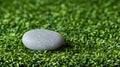 A gray rock rests on a bed of green grass. Royalty Free Stock Photo