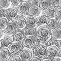 Gray rose seamless pattern