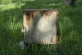 A gray rusty electric box in the Park