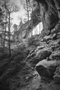 Gray`s Arch, Red River Gorge KY Royalty Free Stock Photo