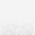 Gray sad depressive outline of thin tree branches spilled by fog vector illustration drawing of a forest white light background