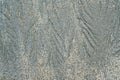 Gray sand surface for a background or texture Royalty Free Stock Photo