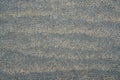 Gray sand surface for a background or texture Royalty Free Stock Photo