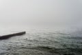 Gray sea in foggy weather and seagulls on the breakwater in the early morning Royalty Free Stock Photo