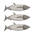 Gray sea and river fish. Simple vector illustration.