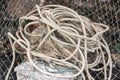 .Gray sea ropes lie in a heap in fishing port.Thailand