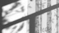 Gray shadow playing on curtain and foliage silhouette overlay Royalty Free Stock Photo
