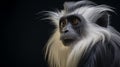 gray-shanked douc langur, AI Generative