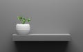 Gray shelf with green potted plant on wall