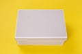 Gray shoe box Royalty Free Stock Photo