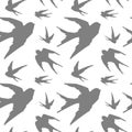 Gray silhouettes of swallows in flight on white