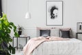Pink blanket in feminine bedroom Royalty Free Stock Photo