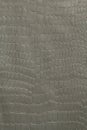 Gray-silver polyvinyl chloride film stamped like reptile skin. Texture.