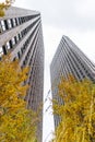 gray skyscrapers among green spaces and trees modern eco yard