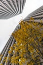 gray skyscrapers among green spaces and trees modern eco yard