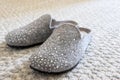 Gray slippers on the carpet. Shoes for home. Royalty Free Stock Photo