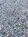 Gray small rocks ground texture. black small road stone background. Royalty Free Stock Photo