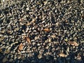 Gray small rocks ground texture with dry leaf. gravel pebbles stone seamless texture. Royalty Free Stock Photo