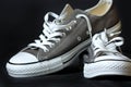 Gray sneakers classic youth footwear