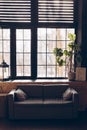 Gray sofa against the background of a large window with a flowerpot. Modern room interior with dark furniture. Living room in loft Royalty Free Stock Photo