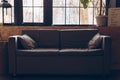 Gray sofa against the background of a large window with a flowerpot. Modern room interior with dark furniture. Living room in loft Royalty Free Stock Photo